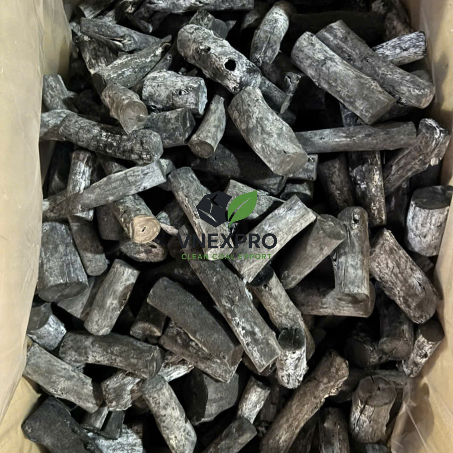 Chưa có tên (1587 x 1587 px)